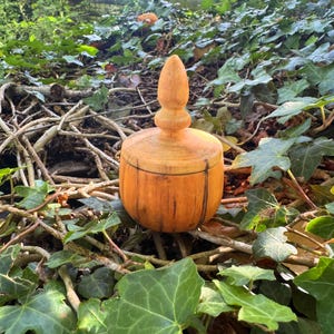 May include: A cylindrical wooden container with a rounded lid and a pointed finial handle. The light brown wood features natural dark vertical grain lines and a smooth finish, showcasing the organic texture of the material in a simple form.