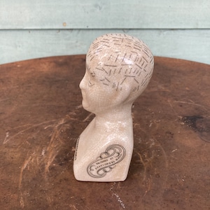 Phrenology Head, Ceramic, 6 inches x 2.5 inches, small scientific ceramic ornament