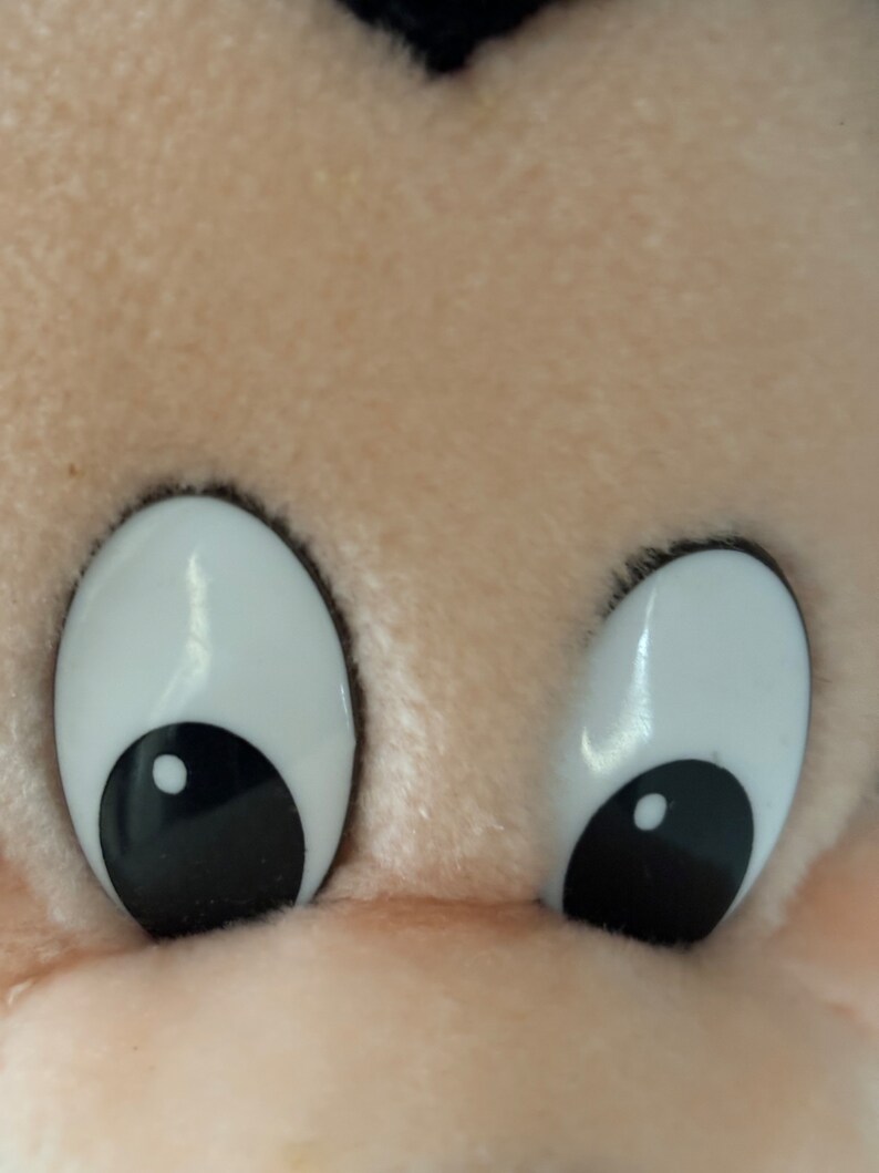May include: Close-up of a plush toy's face with large white eyes and black pupils. The toy has a light brown fur texture.