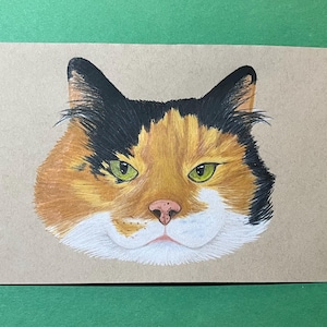 Custom Pet Portrait Commission- Colored Pencil Drawing