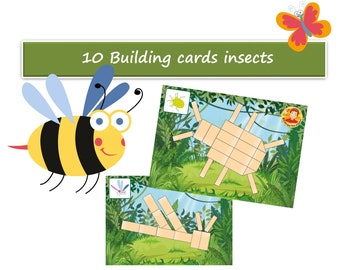 Cartes de construction insectes