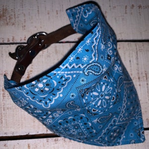 May include: A blue bandana with a white and black paisley pattern, attached to a brown leather collar.