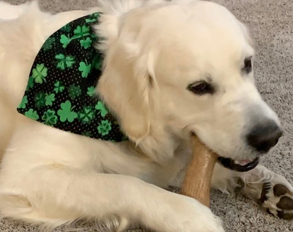Lucky Pet Bandana for St Patrick's Day, for Dogs or Cats, Collar Slips Thru, Made in Montana Assistedly by Young Adults with Super-Abilities