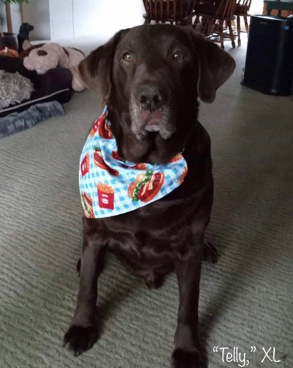 Cheeseburger Pet Bandana ~ FREE SHIPPING ~ Your Pet's Collar Slips Thru ~ Made in Montana!