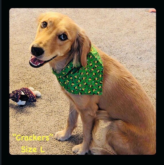 Woodstock Pet Bandana ~ FREE SHIPPING ~ Your Pet's Collar Slides Thru ~ Joyfully Packaged by Young Adults with Special Abilities