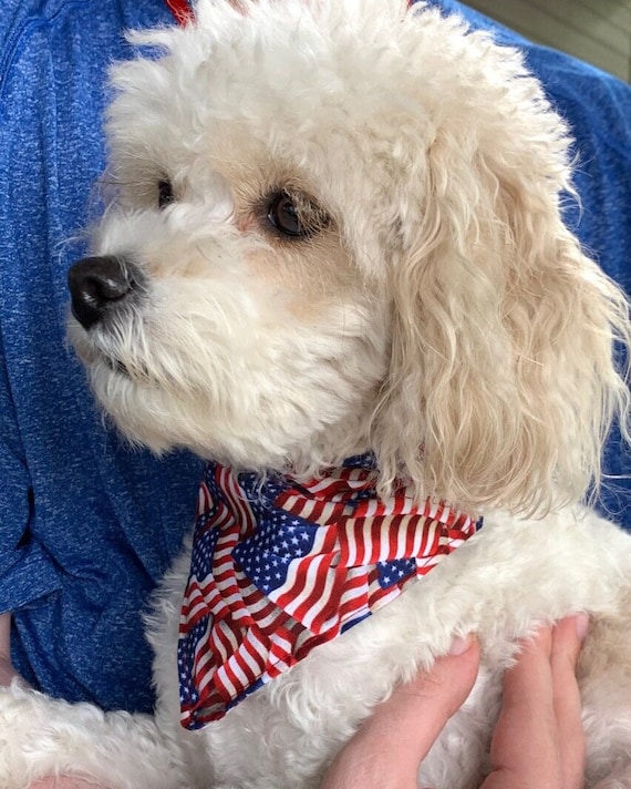 Patriotic Pet Bandana ~ FREE SHIPPING ~ Your Pets Collar Slides Thru ~ Joyfully Packaged by Young Adults with Special Abilities