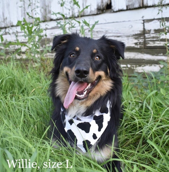 Cow Print Dog Bandana ~ Your Pet's Collar Slips Thru ~ FREE SHIPPING!