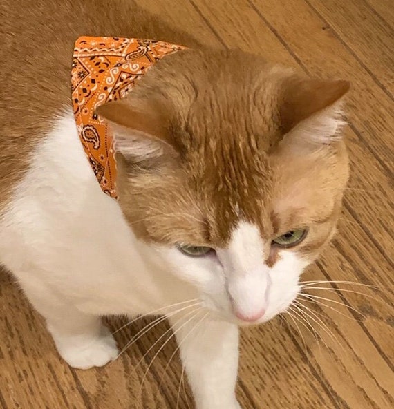 Vibrant Orange Pet Bandana ~ FREE SHIPPING ~ Your Pet's Collar Slips Thru ~ Proudly Made in Montana!