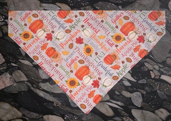 LAST ONES XXL/Xl ~ Cozy Thanksgiving Pet Bandana ~ Free Shipping ~ Collar Slides Thru ~ Perfect for Holiday Photos