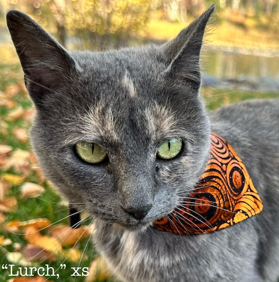 Shiny Foil Pumpkins Pet Bandana ~ FREE SHIPPING ~ Your Collar Slips Thru ~ Ready to Ship!