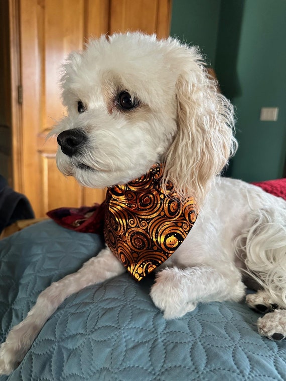 Shiny Foil Pumpkins Pet Bandana ~ FREE SHIPPING ~ Your Collar Slips Thru ~ Ready to Ship!