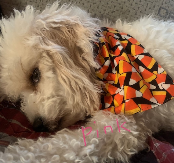 Candy Corn Pet Bandana, Assistedly Made by Young Adults with Special Needs, Fits Over Pet Collar, Trick or Treat, Dog Costume, Free Shipping