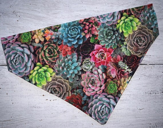 Succulents Pet Bandana ~ FREE SHIPPING ~ Your Pet's Collar Slides Thru ~ Assistedly Made by Young Adults with Special Abilities