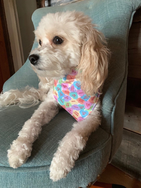 LAST ONES ~ Largest Sizes Only ~ Conversation Hearts Dog Bandana ~ Your Pet's Collar Slides Thru ~ Free Shipping!