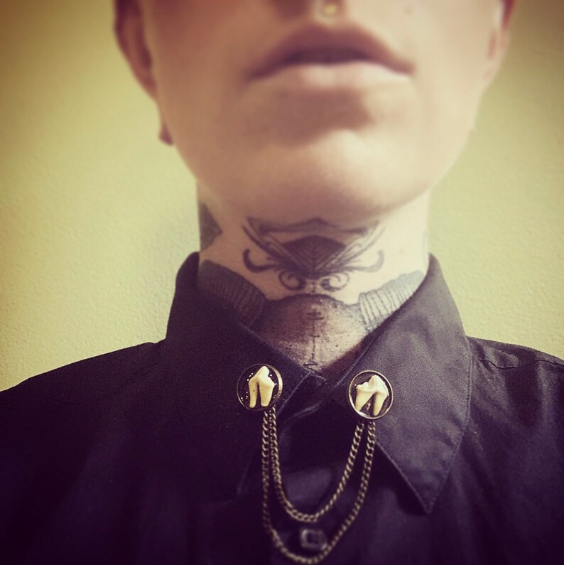 Raccoon tooth collar chain image 3