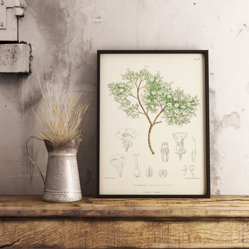 Printable wall art Botanical illustration Leaves watercolor Printable botanical set,Greenery art Botanical wall art Botanical print set