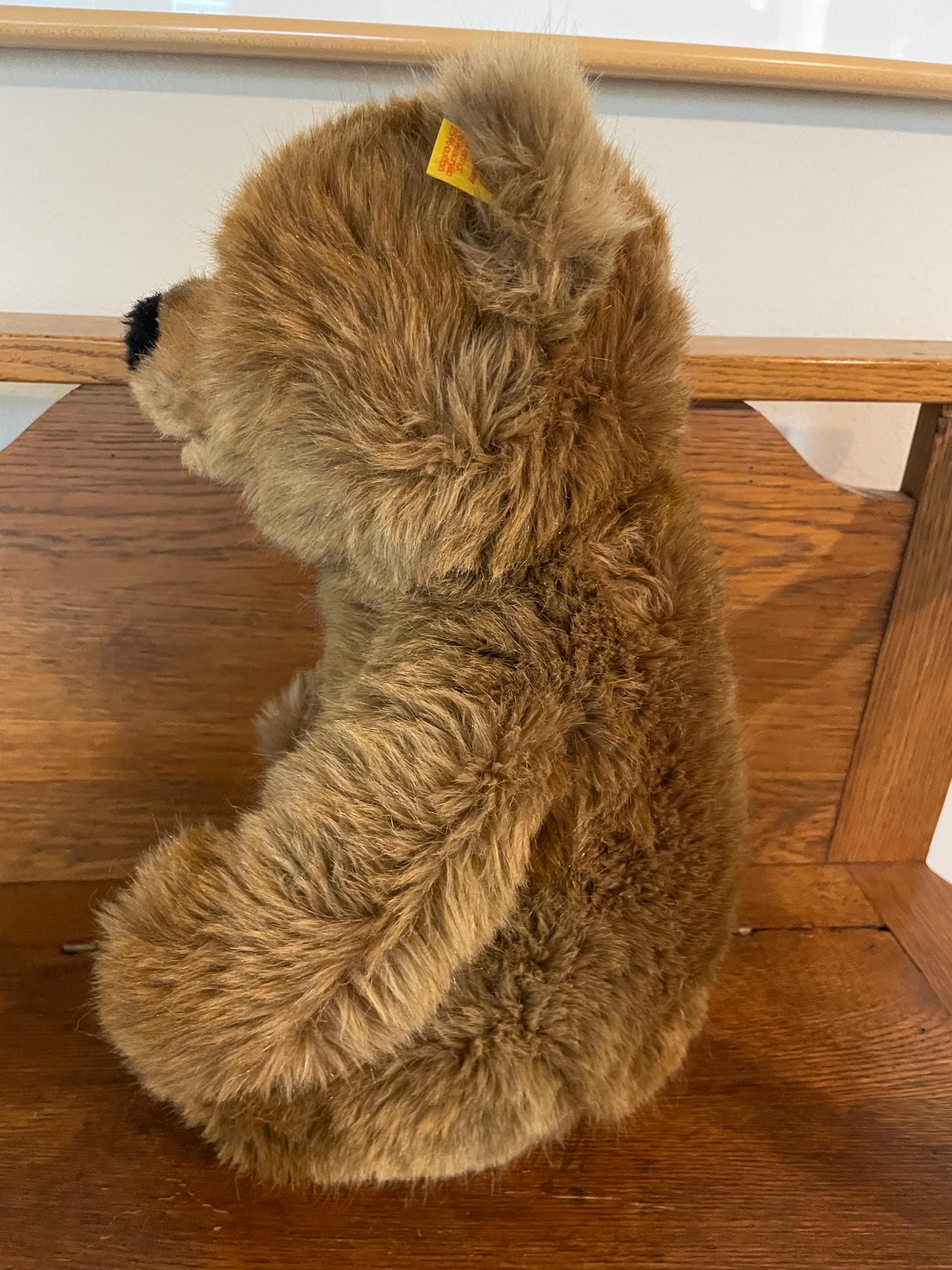 Steiff Molly Bear 0345/35 - Etsy