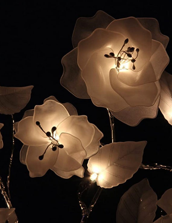 Lightshare's Lighted Branch