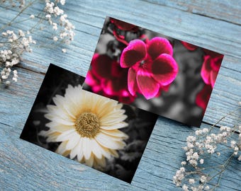 Printable Blank Postcards,Flower Postcards,Instant Downloads,Digital Downloads,Collectibles,Stationery,Gifts,Postcards,Flower Photography