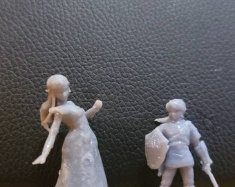 Princess Zelda & Link from Legend of Zelda handmade miniature models