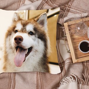 May include: A close-up of a brown and white husky dog with its tongue sticking out. The dog is looking to the right of the image. The dog is on a white and brown pillow.