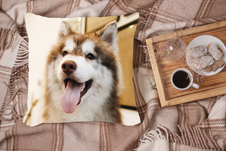 May include: A close-up of a brown and white husky dog with its tongue sticking out. The dog is looking to the right of the image. The dog is on a white and brown pillow.