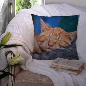 May include: A throw pillow with a close-up image of a sleeping orange tabby cat with its eyes closed. The cat is lying on a gray surface with its head resting on its paws.