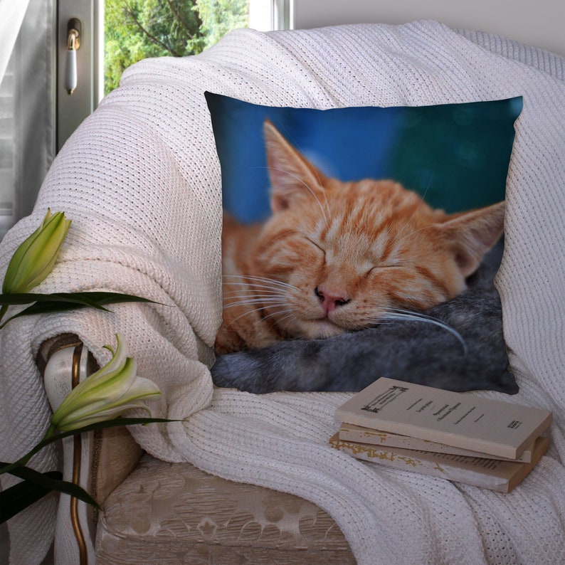 May include: A throw pillow with a close-up image of a sleeping orange tabby cat with its eyes closed. The cat is lying on a gray surface with its head resting on its paws.