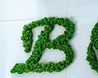 Personalisiertes Klebebuchstabenschild mit naturgrünem Rentiermoos – Wanddeko fürs Büro