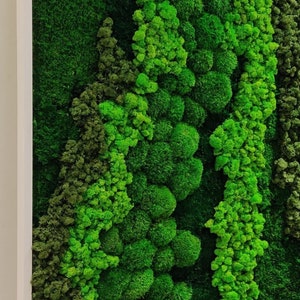 Marco de musgo. Arte de pared verde. Decoración de pared. Musgo preservado. Jardín vertical, pared de musgo, obra de arte con musgo, pared viva