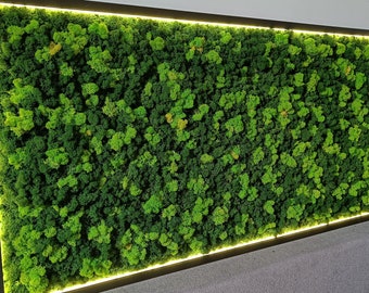 ZEN Home Decor / Moos-LED-Bilderrahmen / Lichtbeleuchtung für den Bilderrahmen / Mooskunst-LED-Lampe / Wandmoos / Rentierflechtenmoos