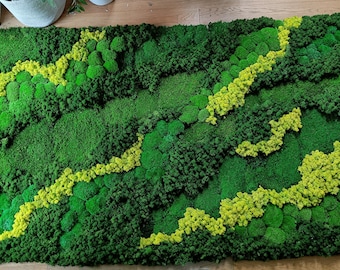 SET 2 STÜCK, Moosplatte 38"x 50cm (2 Stück) Vertikaler Garten, Mooswand, Mooskunstwerk, konservierte Mooskunst, lebende Wand, grüne Innenwand,