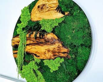 Rundes Kunstmoos, Farne, Olivenholz 39", 28", 20", 12" (100cm,70cm,50cm,30cm)/ Konservierte Wandkunst/Walddekorationen