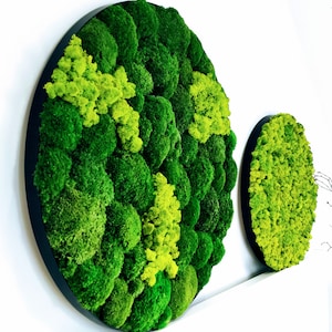 Round art moss Black metal Frame Moss Wall Art Decor Forest Decorations