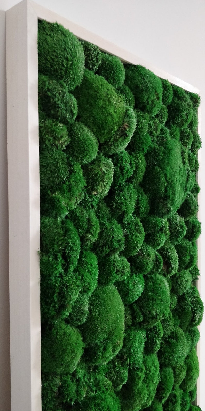 Vertical Garden Image of Moss Moss Wall Moss Art Work Etsy