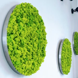 Vertical garden, Image of moss, Moss Wall, Round Moss Art Work, Preserved Moss Art, Living Wall, moss decoration, interior green wall