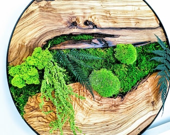 Biophile Wohndekoration, Wandkunst aus konserviertem Moos, Farnen und Olivenholz, 70 cm, 50 cm, 30 cm (28", 20", 12") / Walddekorationen