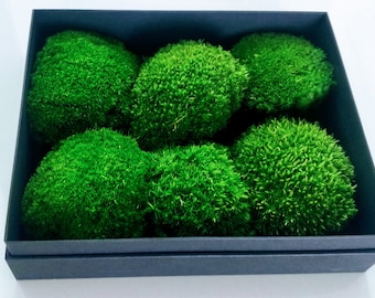 5 kg - Stabilisiertes konserviertes Moos, Pfahlmoos, Kissenmoos, Kugelmoos, DIY, BASTELN, Naturgrün, Dekorative