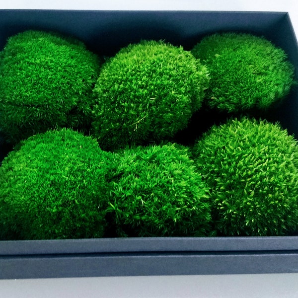 Stabilized Preserved Moss, Pole Moss, Pillow Moss, Ball Moss, DIY, CRAFTS, Natural Green, Dekorative, Forest decorations