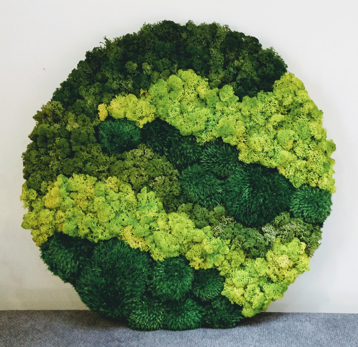Make Your Own Moss Art DIY Moss Wall Kit Round Moss Art Etsy