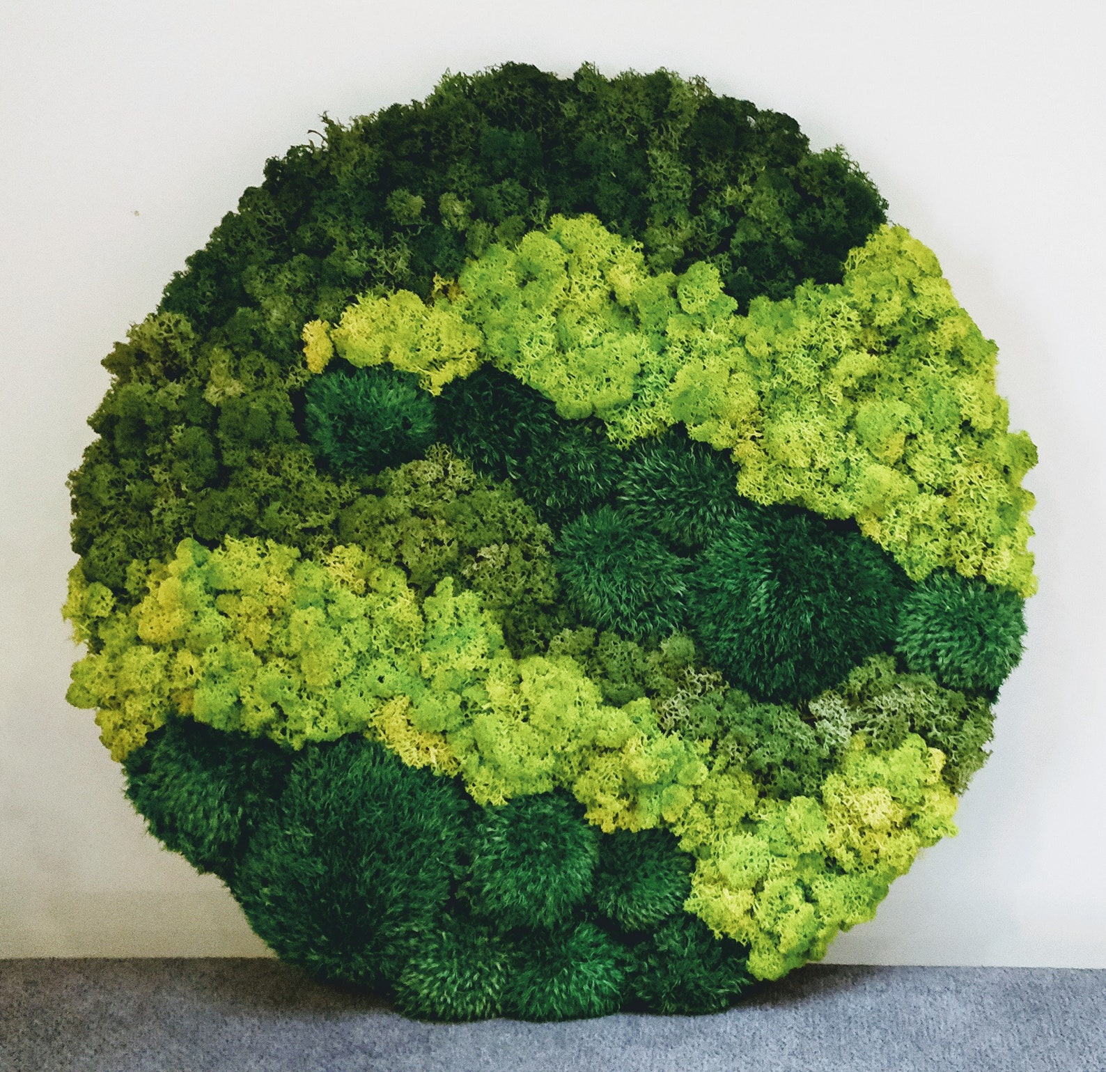 Make Your Own Moss Art DIY Moss Wall Kit Round Moss Art | Etsy