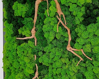 Öko-Luxus-Dekoration, Moos- und Wurzelwandkunst – Natürlich konserviertes Moos | Handgefertigte, moderne botanische Wandkunst für Zuhause und Büro