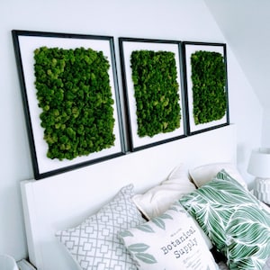 Set of 3 Moss wall art Frame, Vertical garden, Scandinavian moss, Moss Wall, Moss Art Work, Moss decoration, Interior green wall