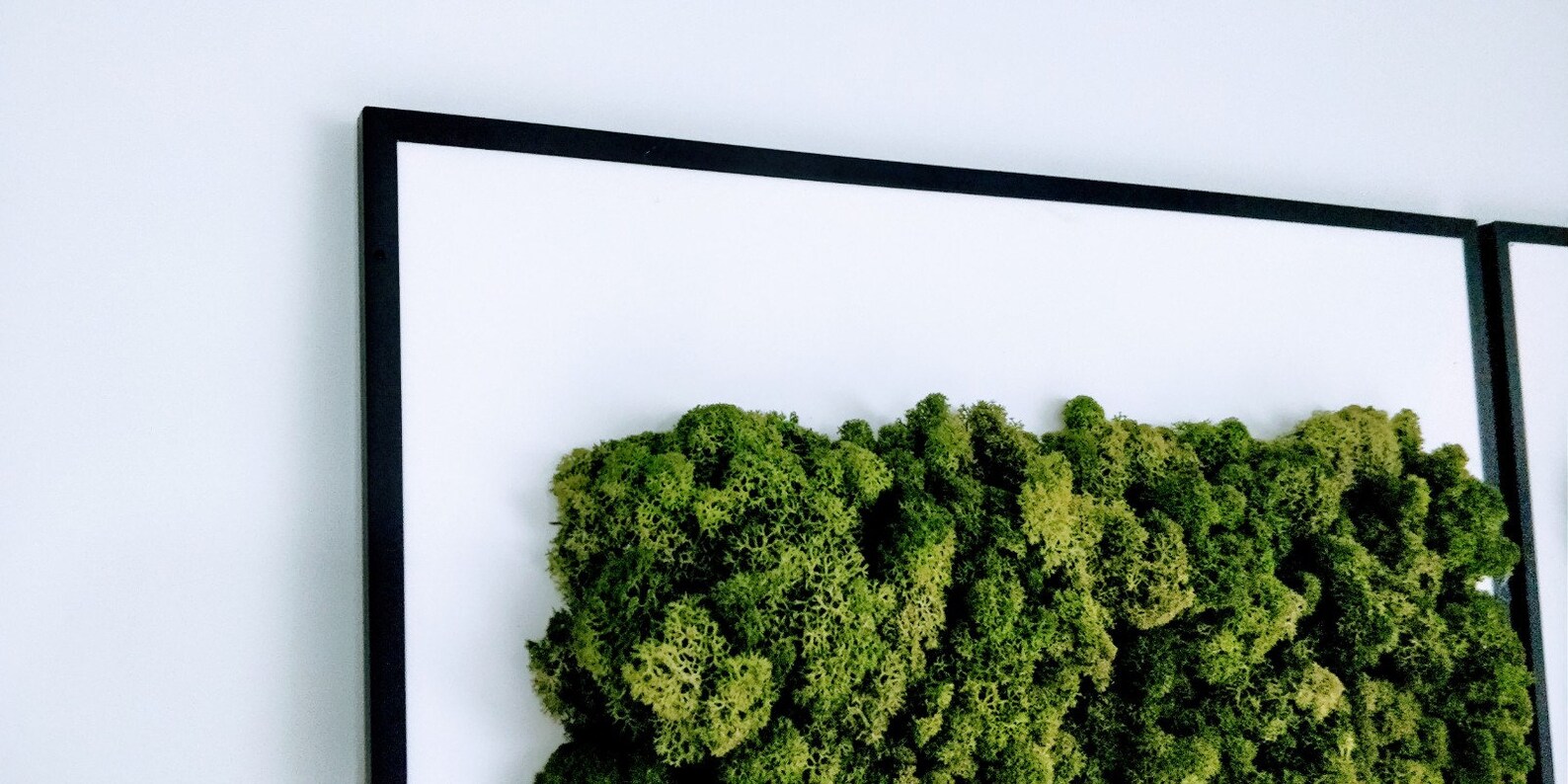 Set of 2 Moss Wall Art Frame Vertical Garden Scandinavian Etsy