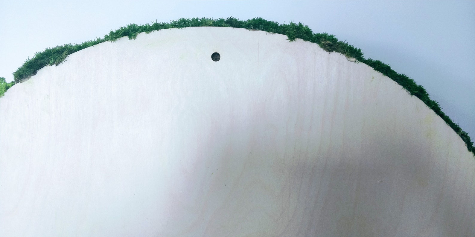 Make Your Own Moss Art DIY Moss Wall Kit Round Moss Art Etsy