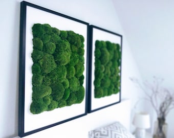 Hochwertige natürliche Wanddekoration, Moos-Wandbildrahmen 50 x 70 cm (20 x 28 Zoll), vertikaler Garten, skandinavisches Moos-Wandbild, Moosdekoration, grüne Wand