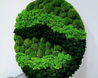 DIY-Mooswand-Kunstset – Gestalten Sie Ihre eigene Wanddekoration aus konserviertem Moos | Natürliche grüne Wohndeko