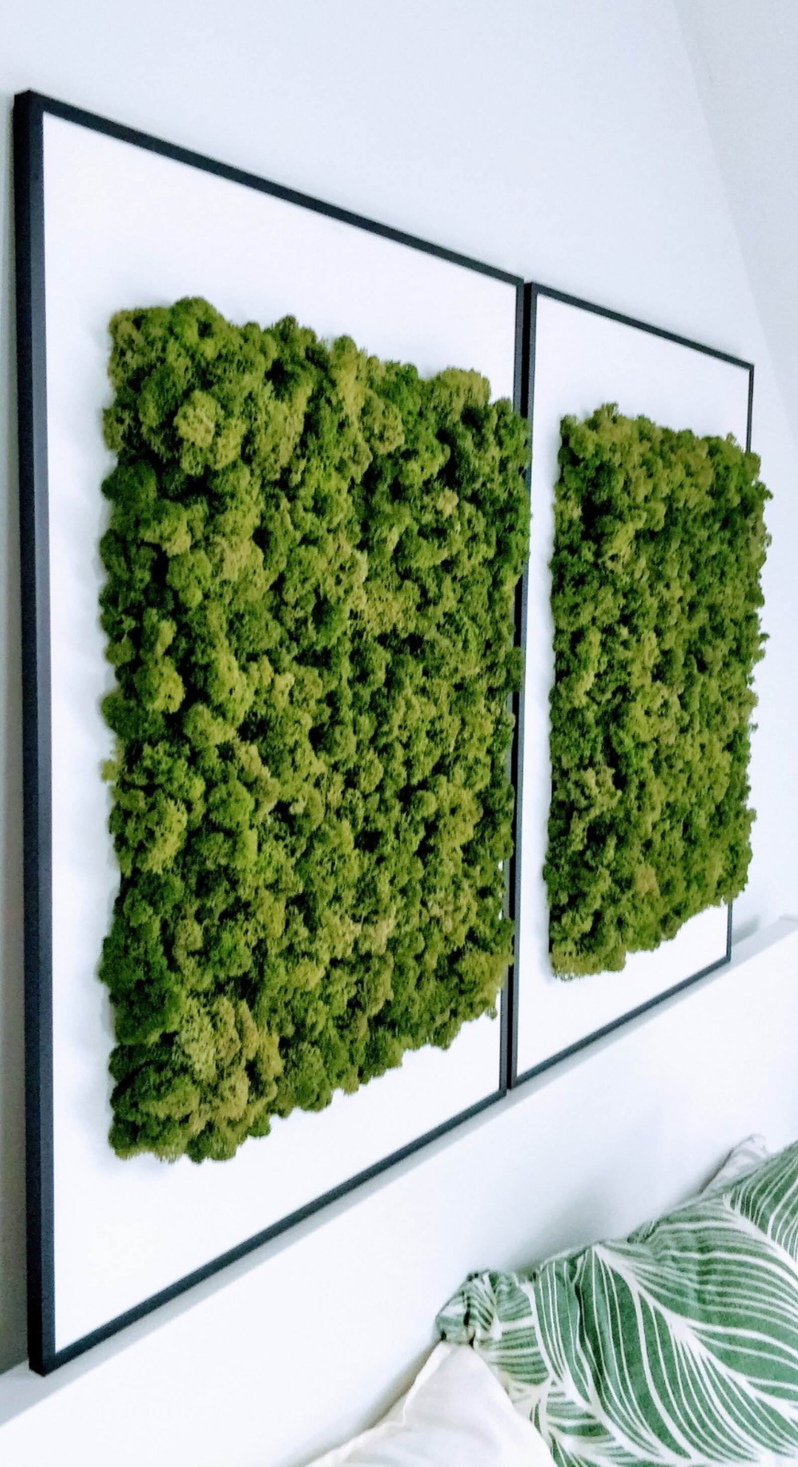 Set of 2 Moss Wall Art Frame Vertical Garden Scandinavian Etsy