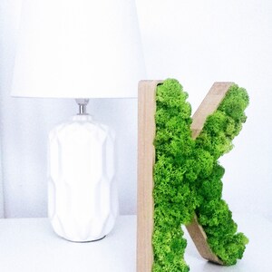 Musgo 3D, madera, letras de roble. Logotipo de su empresa