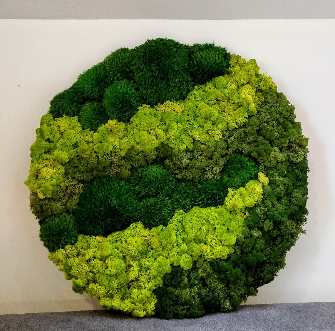Make Your Own Moss Art DIY Moss Wall Kit Round Moss Art | Etsy